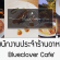 งาน Part Time – Full Time ประจำอาหาร Blueclover Cafe’