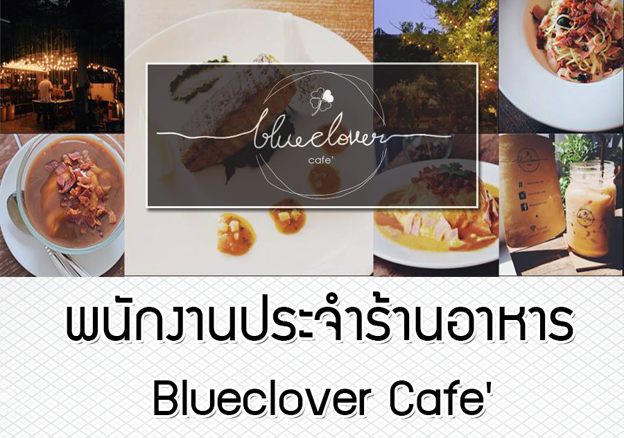 งาน Part Time – Full Time ประจำอาหาร Blueclover Cafe’