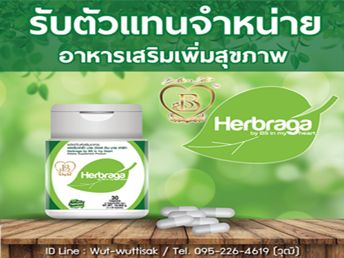 รับสมัครตัวแทนจำหน่ายสมุนไพรไทย Herbraga รับสมัครตัวแทนจำหน่ายสมุนไพรไทย Herbraga
