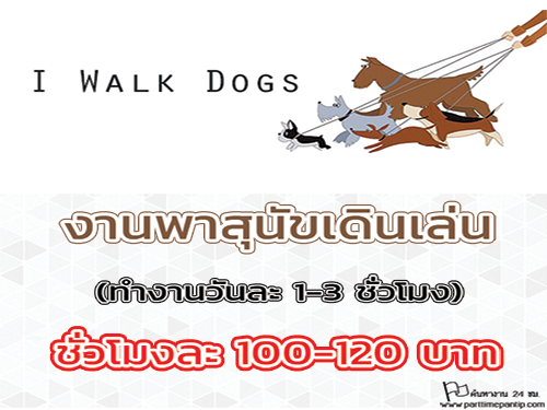 งาน Part Time พาสุนัขเดินเล่น (ชั่วโมงละ 100-120 บาท)