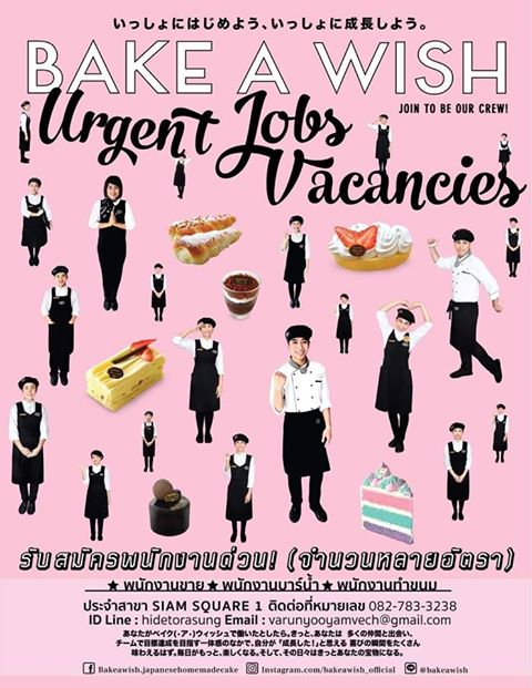 งาน Part Time – Full Time ประจำร้านเค้ก Bake A Wish งาน Part Time – Full Time ประจำร้านเค้ก Bake A Wish