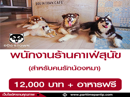 รับสมัครพนักงานประจำ ร้านคาเฟ่สุนัข Dog In Town Cafe