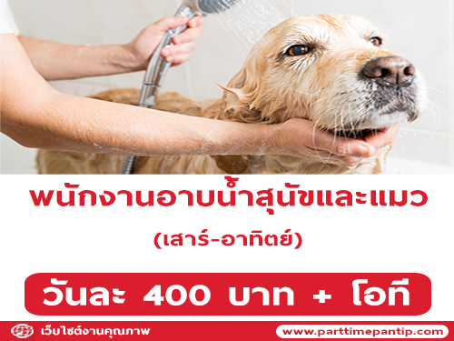 รับสมัครพนักงานอาบน้ำสุนัขและแมว รับสมัครพนักงานอาบน้ำสุนัขและแมว
