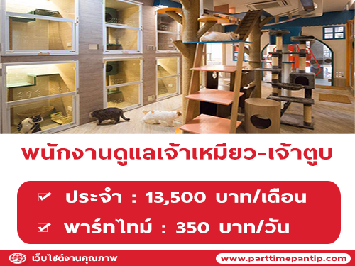 รับสมัครพนักงานดูแลสัตว์เลี้ยง (เจ้าเหมียว-เจ้าตูบ)