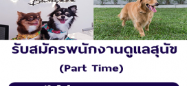 รับสมัครพนักงานดูแลสุนัข Part Time (วันละ 500 บาท)