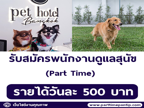 รับสมัครพนักงานดูแลสุนัข Part Time (วันละ 500 บาท)