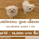 รับสมัครคน ดูแล-เลี้ยงหมา (รายได้ 14,000 บาท ขึ้นไป)