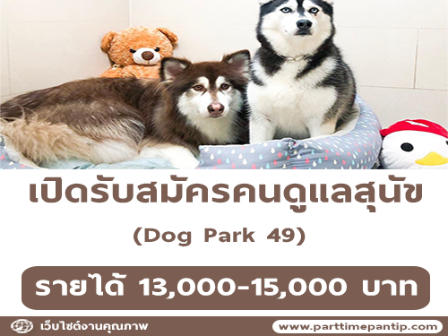 Dog Park 49 รับสมัครคนดูแลสุนัข