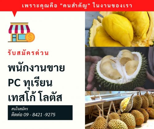 รับสมัครด่วนพนักงานขายผลไม้ ประจำ Tesco Lotus