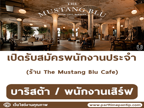 รับสมัครพนักงานประจำร้าน The Mustang Blu Cafe รับสมัครพนักงานประจำร้าน The Mustang Blu Cafe