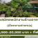 รับสมัครพนักงานร้านอาหาร “นายหัวคาเฟ่”