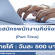 รับสมัครพนักงานคีย์ข้อมูล Part Time (วันละ 500 บาท)