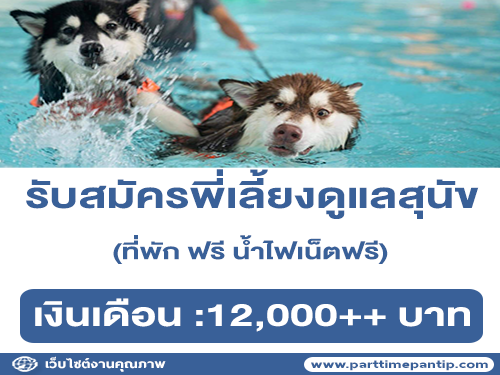 รับสมัครพี่เลี้ยงดูแลสุนัข โรงแรมสุนัข About dog