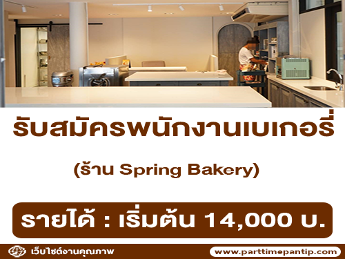 รับสมัครพนักงานเบเกอรี่ ร้าน Spring Bakery รับสมัครพนักงานเบเกอรี่ ร้าน Spring Bakery