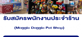 รับสมัครพนักงานร้านเพ็ตชอป Moggie Doggie
