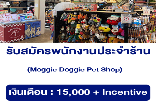 รับสมัครพนักงานร้านเพ็ตชอป Moggie Doggie