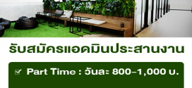 รับสมัครแอดมินประสานงาน ประจำโรงเรียน