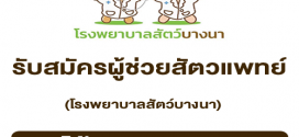 รับสมัครผู้ช่วยสัตวแพทย์ โรงพยาบาลสัตว์บางนา