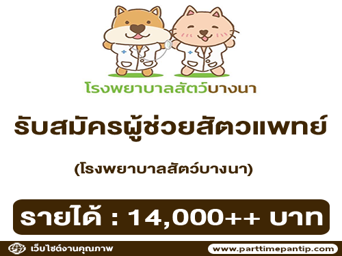 รับสมัครผู้ช่วยสัตวแพทย์ โรงพยาบาลสัตว์บางนา