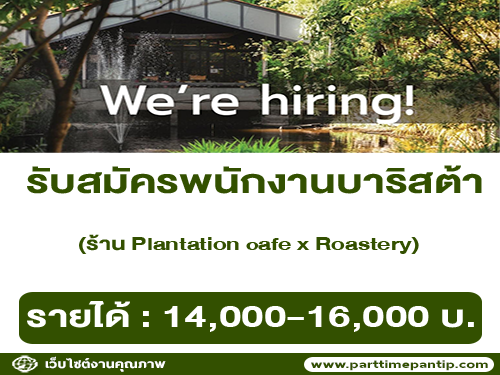 รับสมัครบาริสต้า ร้าน Plantation cafe x Roastery