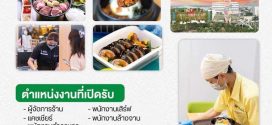 รับสมัครพนักงานร้านอาหารเกาหลี​ The​ Bibimbab​