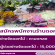 รับสมัครพนักงานร้านดอกไม้ Pamonflower