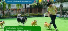 รับสมัครพนักงานประจำร้าน GUSSY CAMP