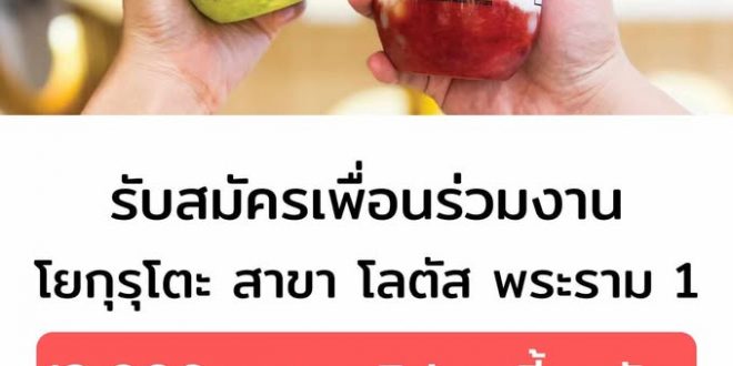 รับสมัครพนักงานร้านเครื่องดื่ม Yoguruto (สาขา โลตัสพระราม 1)