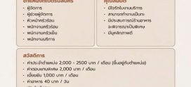 รับสมัครพนักงานร้านอาหารในเครือ Yuzu Group