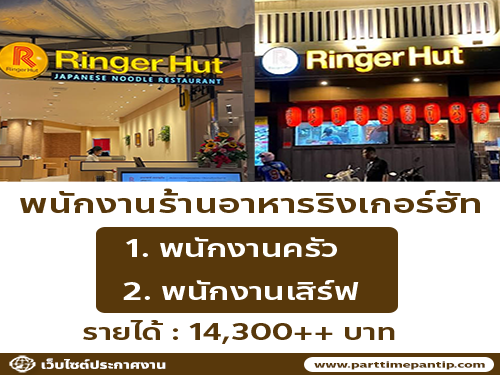 รับสมัครพนักงานร้านอาหารญี่ปุ่น ริงเกอร์ฮัท รับสมัครพนักงานร้านอาหารญี่ปุ่น ริงเกอร์ฮัท