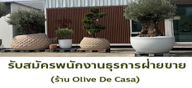 รับสมัครพนักงานธุรการฝ่ายขาย ร้าน Olive De Casa