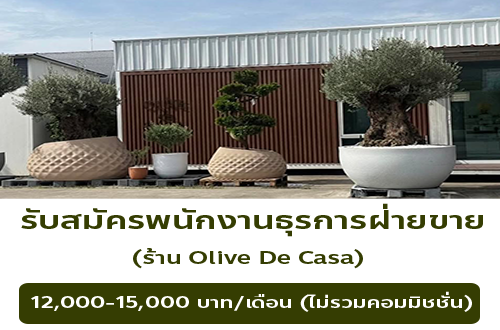 รับสมัครพนักงานธุรการฝ่ายขาย ร้าน Olive De Casa