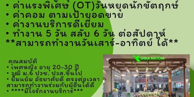 รับสมัครพนักงานร้านชา Shika Matcha