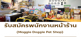 รับสมัครพนักงานร้านเพ็ตชอป Moggie Doggie
