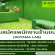 รับสมัครพนักงานร้านขนม AOYAMA LAB