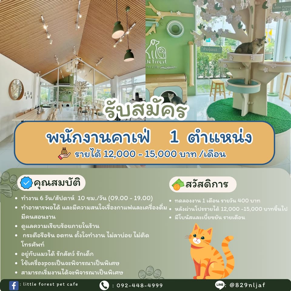 รับสมัครพนักงานดูแลร้าน Little Forest Pet Café