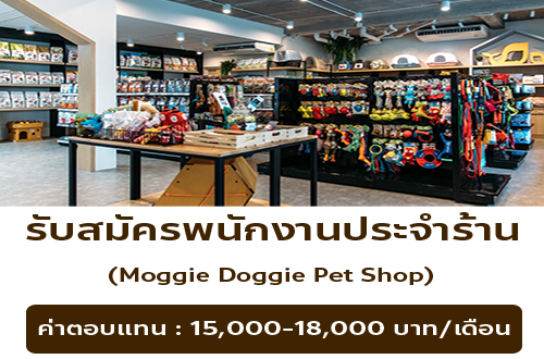 รับสมัครพนักงานร้านเพ็ตชอป Moggie Doggie