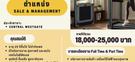 รับสมัครพนักงานประจำร้าน Kingsmith