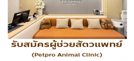 รับสมัครผู้ช่วยสัตวแพทย์ Petpro Animal Clinic