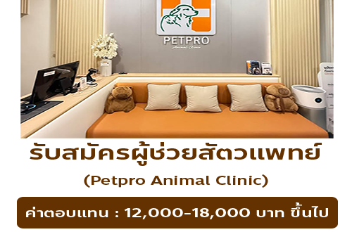 รับสมัครผู้ช่วยสัตวแพทย์ Petpro Animal Clinic