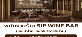 รับสมัครพนักงานร้าน SIP WINE BAR (ร้านอาหาร & Wine Bar)