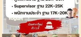 รับสมัครพนักงานร้านโยเกิร์ต MORE Yogurt (ประจำ / พาร์ทไทม์)