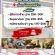 รับสมัครพนักงานร้านโยเกิร์ต MORE Yogurt (ประจำ / พาร์ทไทม์)