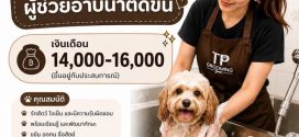  รับสมัครผู้ช่วยอาบน้ำตัดขน ร้าน TP Grooming