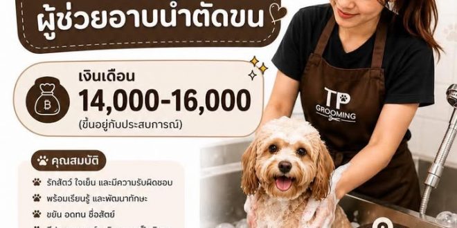  รับสมัครผู้ช่วยอาบน้ำตัดขน ร้าน TP Grooming